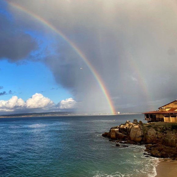 Title - Picture 1 of 1